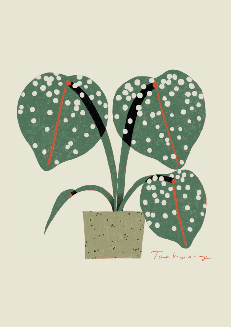 Taehyoung Jeon (Maria)3 (1).png