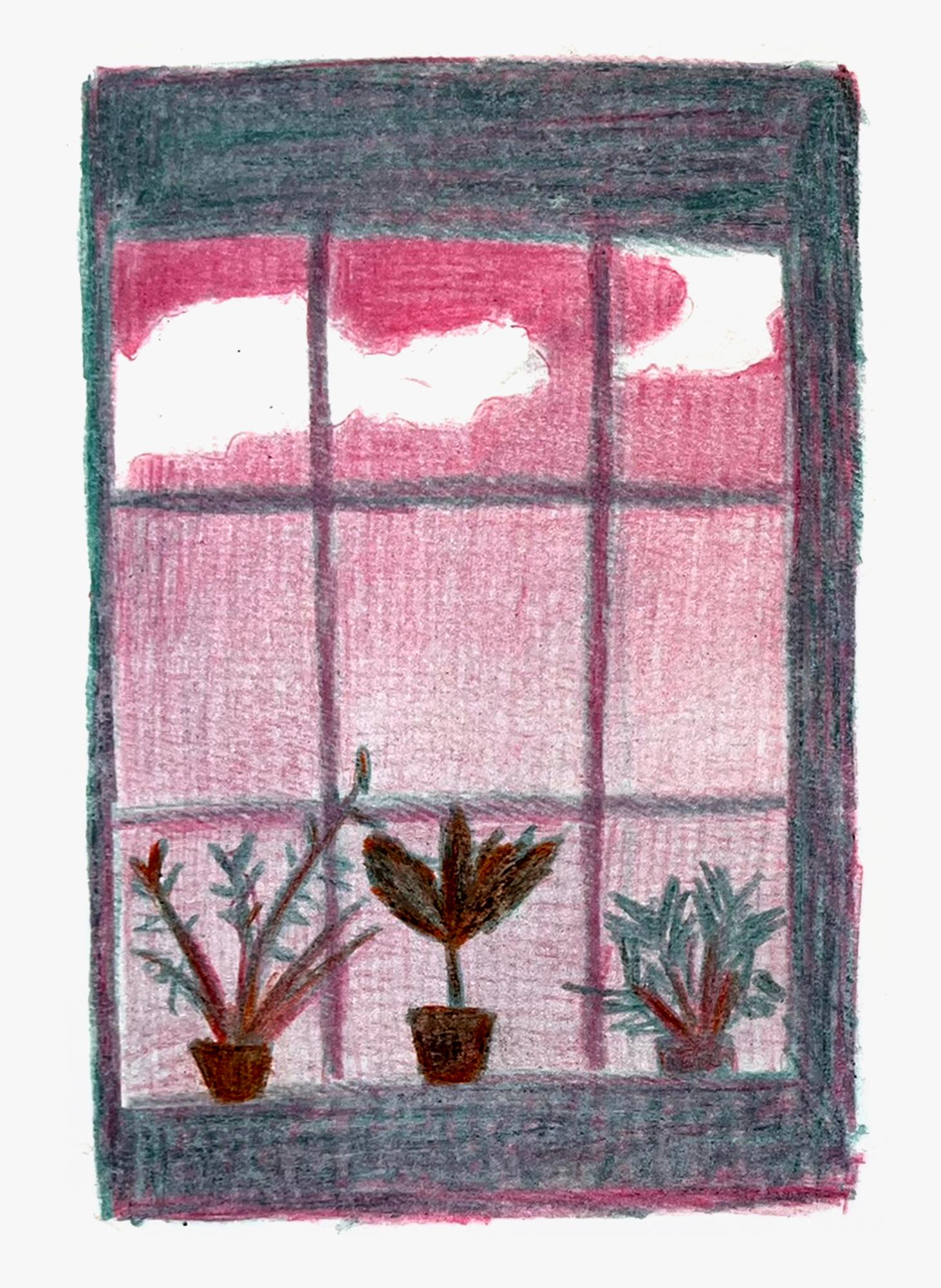 Gallery thumb 5