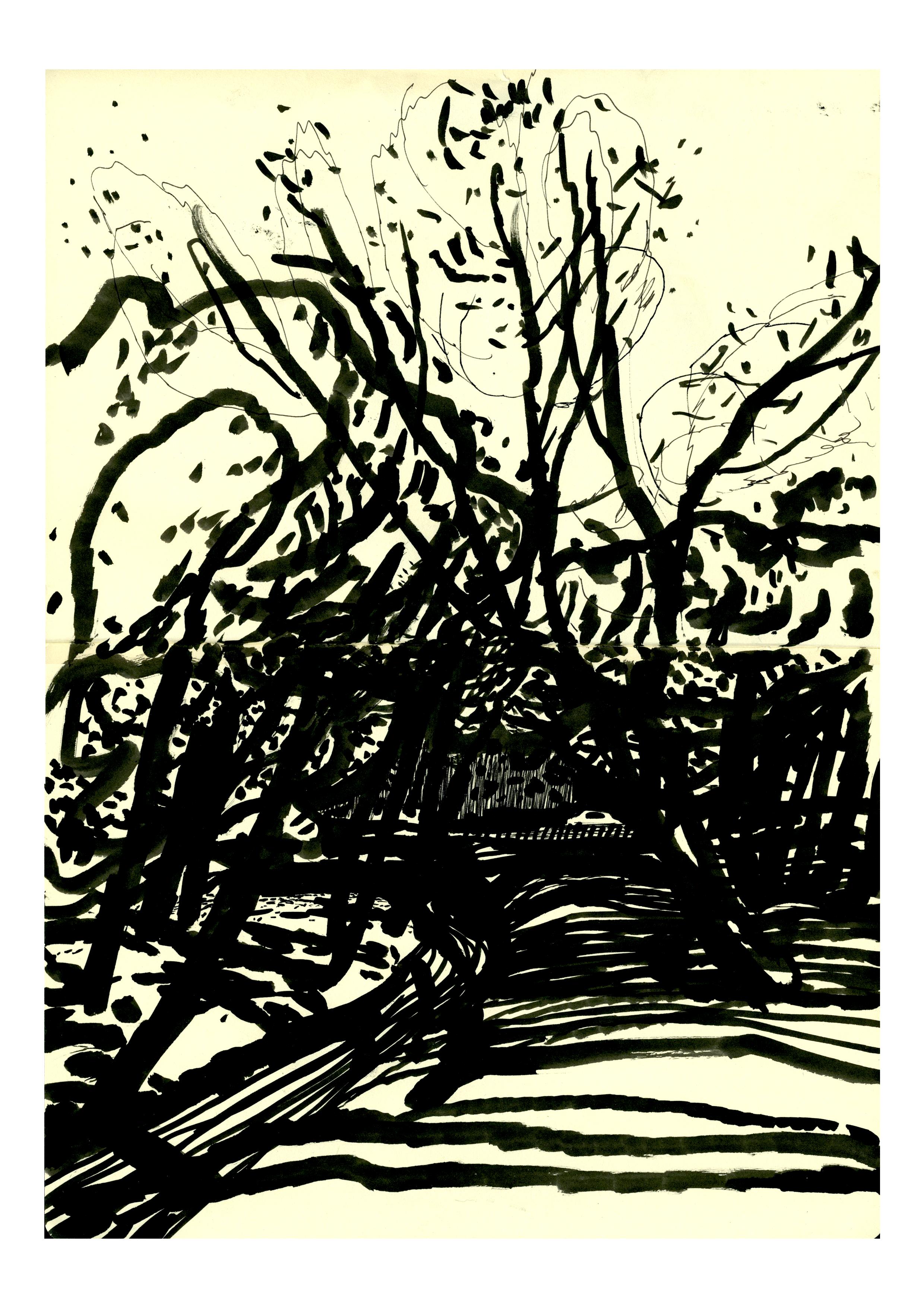 Gallery thumb 3