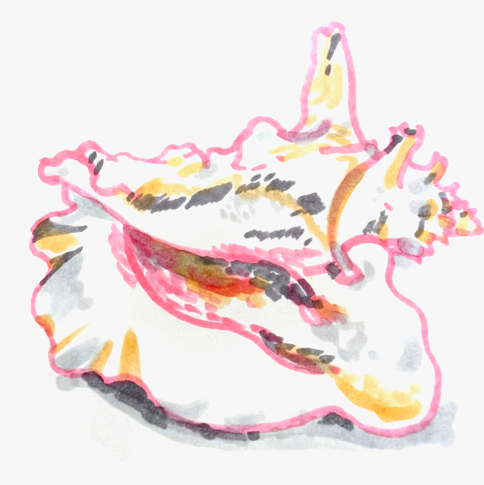 Рисование маркерами